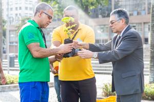 Funcionários do Fórum Central auxiliam o presidente do TJRJ a plantar mudas de pau-brasil