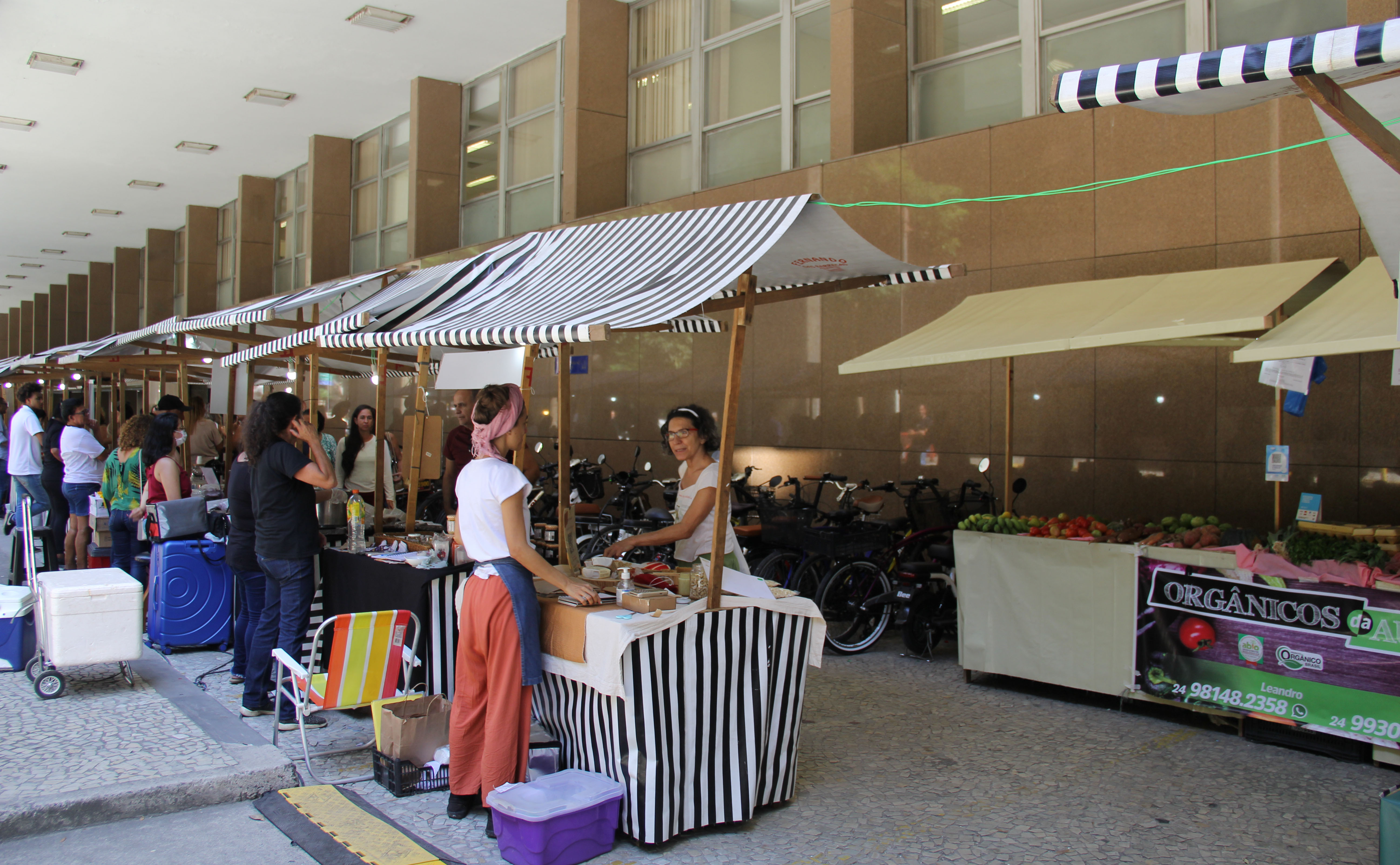 Imagem sem descrição