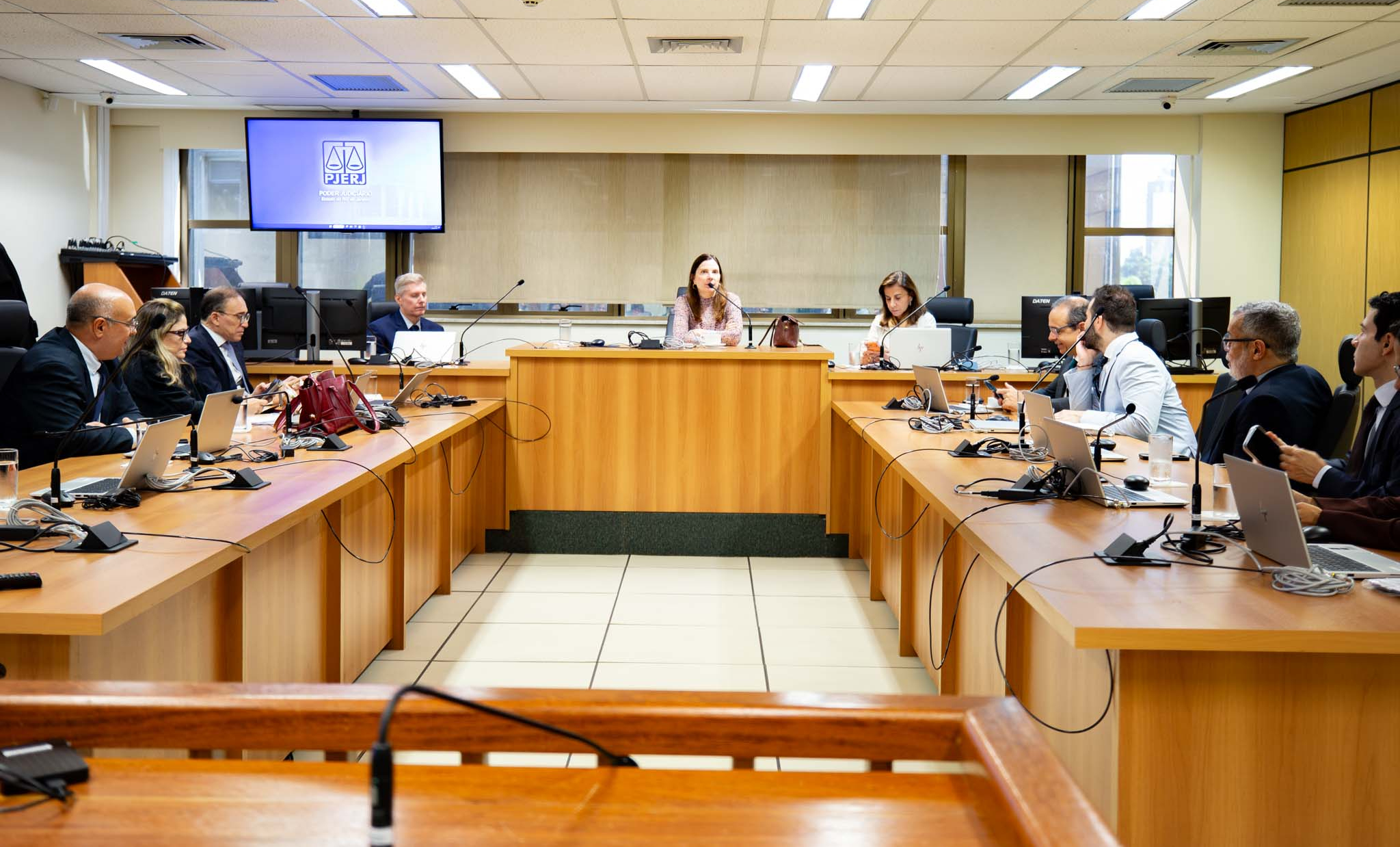 imagem - Reunião da Cojes destaca consolidação da ferramenta Petição Cidadã