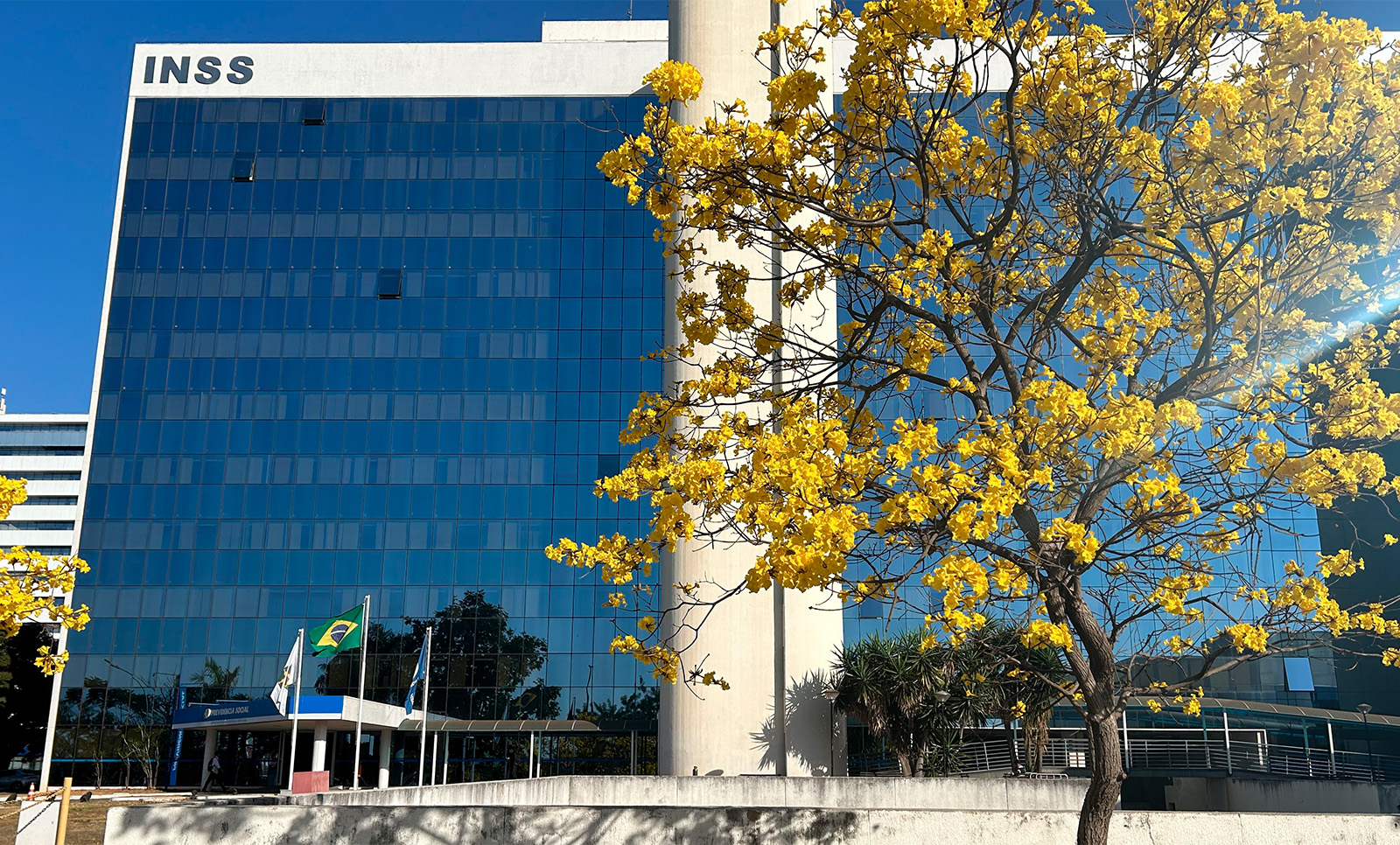 imagem - CNJ suspende prazos processuais que envolvam o INSS até o dia 1º de fevereiro