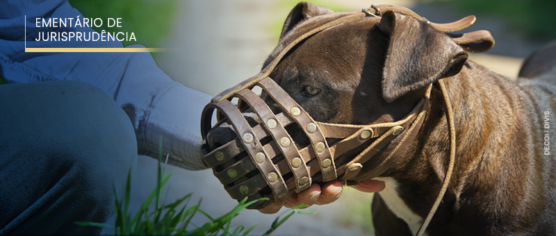 #ParaTodosVerem: Acima, no canto esquerdo, o título “EMENTÁRIO DE JURISPRUDÊNCIA”. Imagem de cachorro marrom da raça pitbull de focinheira, acompanhado de pessoa branca de calça e camisa azuis.