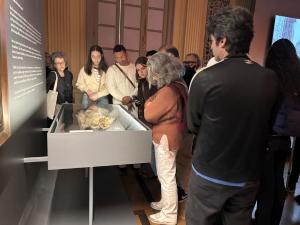 Visita mediada com Curadores