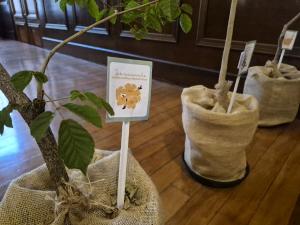 Abertura da Exposição