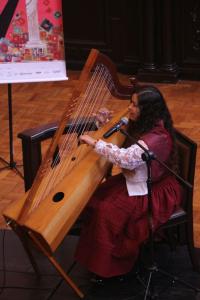 Rio Harp Festival