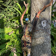 Fotografia de uma escultura do artista ALexandre Pinhel, em frente a uma árvore.