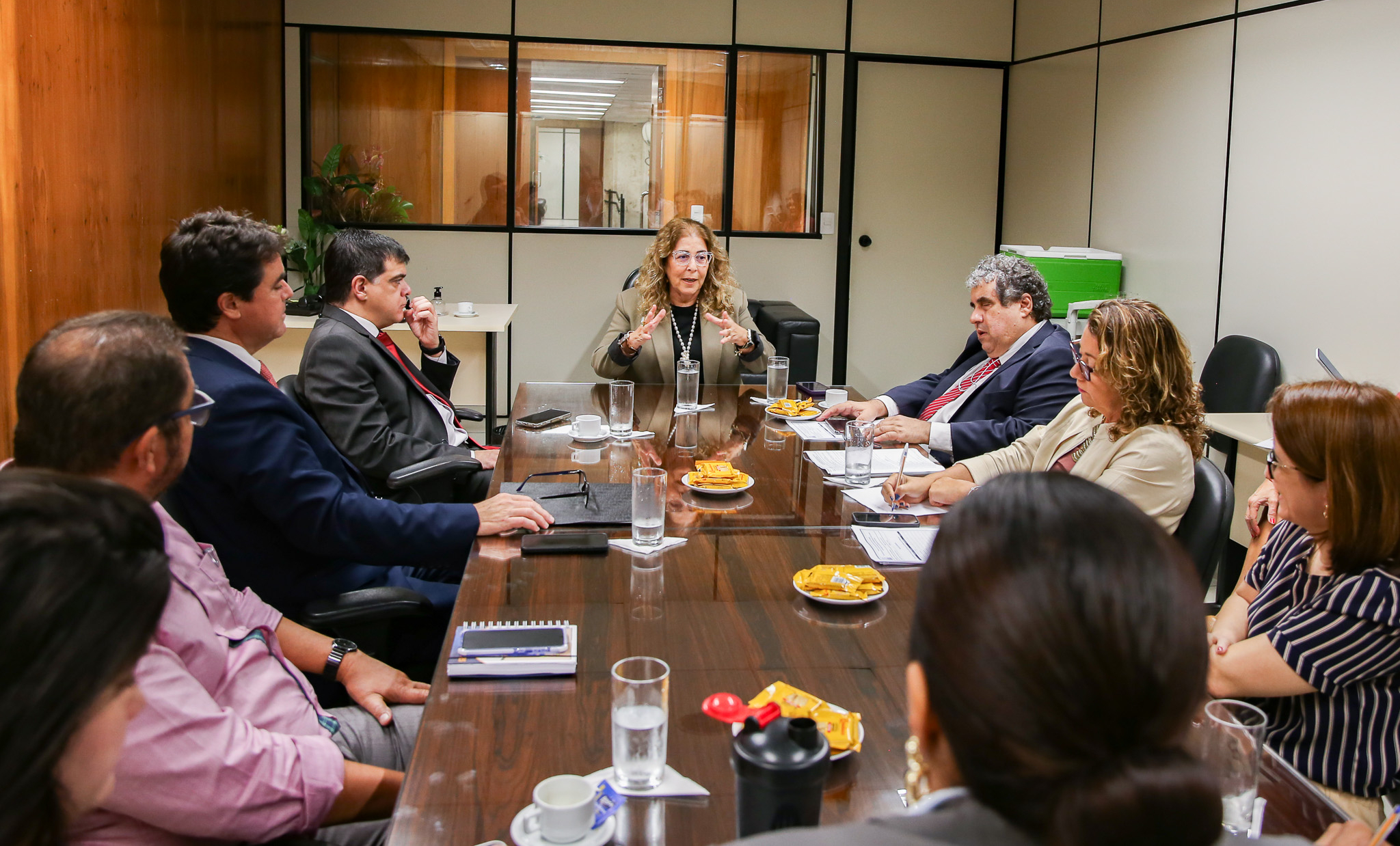 Ao centro da foto a desembargadora Regina Lúcia Passos, presidente da COMAI, acompanhada do juiz Rafael Carneiro, da 1ª Vara de Família de Teresópolis, e Carlos Eduardo Menezes da Costa, secretário-geral da SGSUS (ambos ao lado esquerdo) e Marcio Castro de Aguiar, diretor do Departamento de Acessibilidade e Inclusão Social e Claudia Brogno Linhares, Diretora da Divisão de Acessibilidade da SGSUS (ao lado direito da imagem), além de outros integrantes da Departamento de Acessibilidade e Inclusão Social