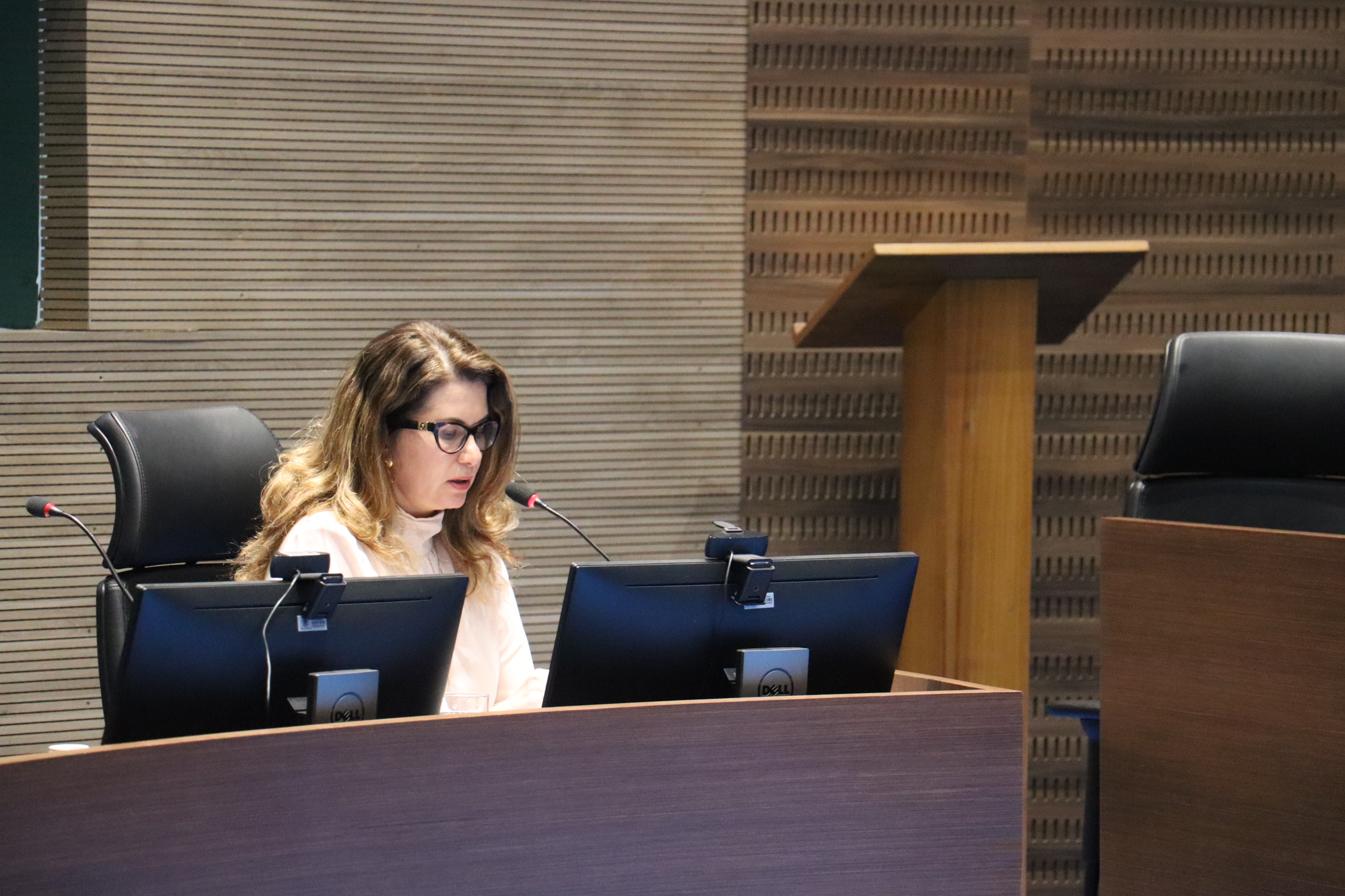 A juíza titular da 4ª Vara Cível da Comarca de São Gonçalo, Renata de Lima Machado, que é vice-coordenadora Comitê Estadual de Saúde do Fórum Nacional de Saúde do Conselho Nacional de Justiça (CNJ), durante a reunião