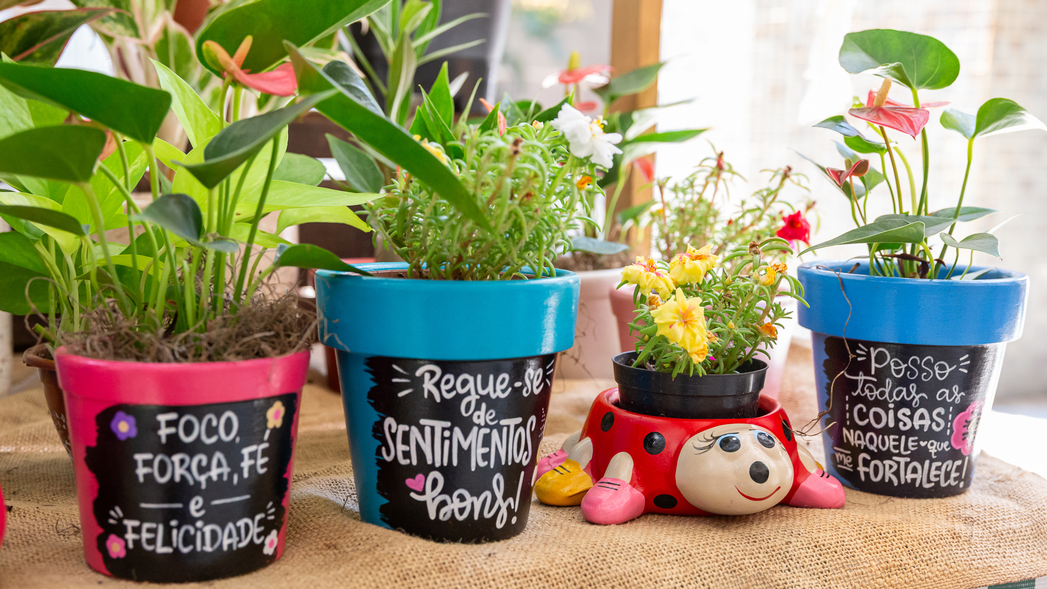 Fofo de quatro vasinhos coloridos com folhagens plantadas. Cada vasinho tem uma frase 