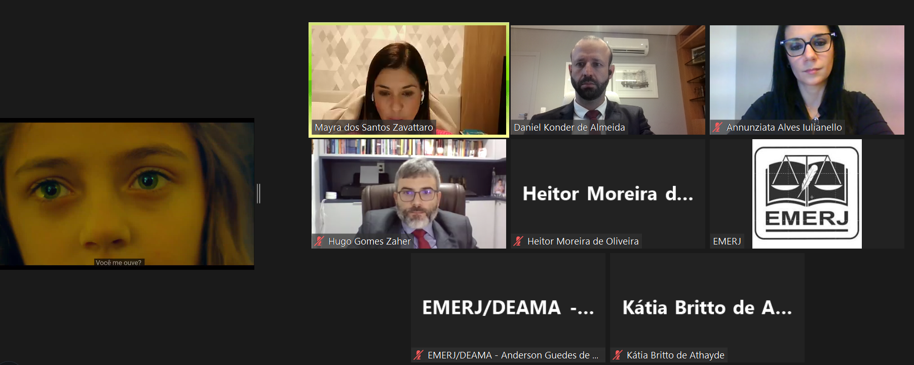 Print da tela de um computador das pessoas que participaram remotamente 