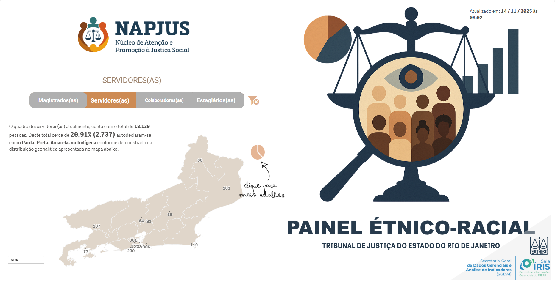 Página inicial do Painel Étnico-Racial 