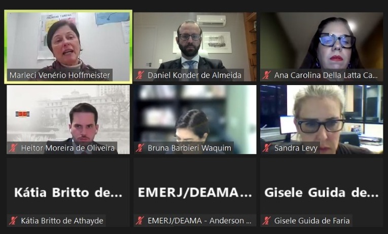 Print da tela de computador com os participantes do Webnário 