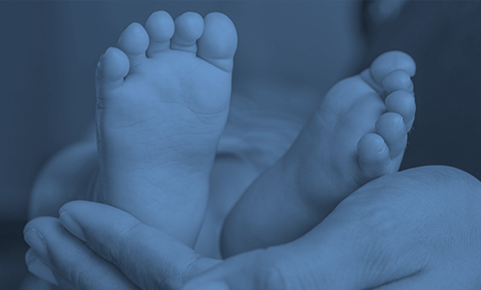 Imagem sem descrição